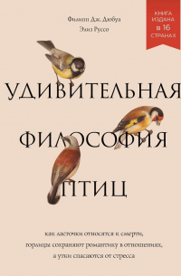 Удивительная философия птиц. Как ласточки относятся к смерти, горлицы сохраняют романтику в отношениях, а утки спасаются от стресса