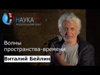 Виталий Бейлин - Волны пространства-времени или Сто лет ожидания