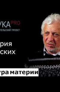 Виталий Бейлин - 10. Симметрия физических теорий
