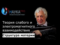 Виталий Бейлин - 9. Теория слабого и электромагнитного взаимодействия