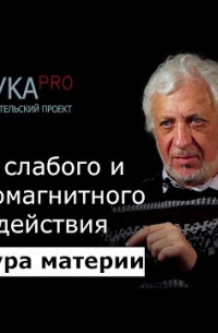 Виталий Бейлин - 9. Теория слабого и электромагнитного взаимодействия