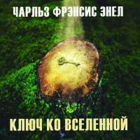 Чарльз Энел - Система: Ключ ко Вселенной