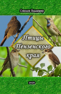 Владимир Соколов - Птицы Пензенского края. Или моя первая фотовыставка