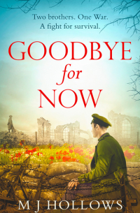 M.J. Hollows - Goodbye for Now