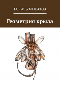 Борис Большаков - Геометрия крыла
