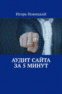 Игорь Новицкий - Аудит сайта за 5 минут