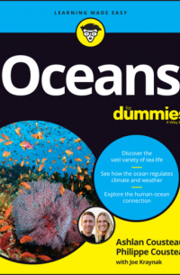 - Oceans For Dummies