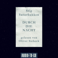 Stig Saeterbakken - Durch die Nacht (Ungekürzt)