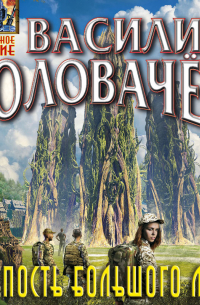 Крепость большого леса