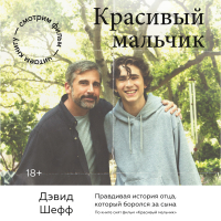 Дэвид Шефф - Красивый мальчик. Правдивая история отца, который боролся за сына