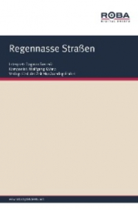  - Regennasse Straßen
