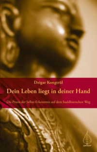 Dzigar Kongtrul - Dein Leben liegt in deiner Hand