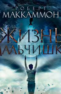 Жизнь мальчишки