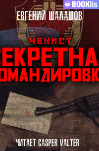 Чекист. Секретная командировка.