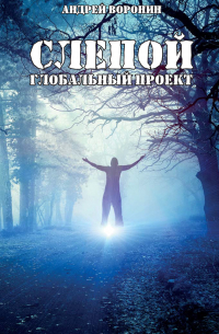 Андрей Воронин - Слепой. Глобальный проект
