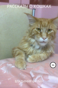 Рассказы о кошках