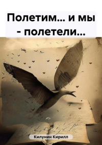 Кирилл Борисович Килунин - Полетим... и мы – полетели. ..
