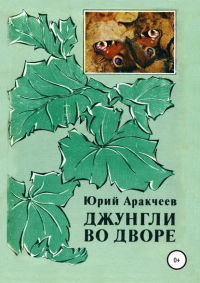 Юрий Аракчеев - Джунгли во дворе