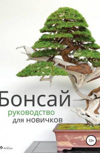 Бонсай – руководство для начинающих