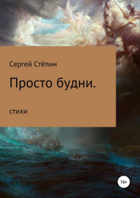 Сергей Степин - Просто будни
