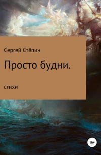 Сергей Степин - Просто будни