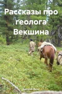 Рассказы про геолога Векшина