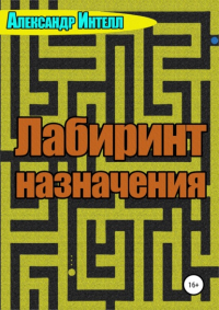 Александр Александрович Интелл - Лабиринт назначения