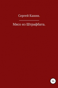 Сергей Алексеевич Канин - Мясо из штрафбата!