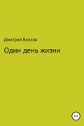 Дмитрий Волков - Один день жизни