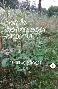 Олег Джурко - Мысль виночерпий разума