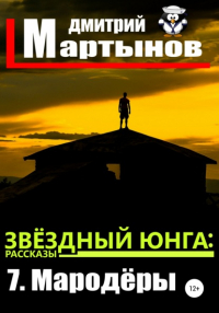 Дмитрий Мартынов - Звёздный юнга: 7. Мародёры