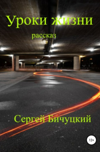 Сергей Бичуцкий - Уроки жизни