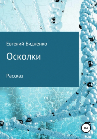 Евгений Бидненко - Осколки. Рассказ