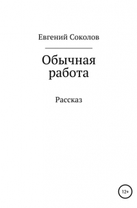 Евгений Владимирович Соколов - Обычная работа