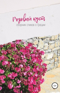 Ирина Сухолет - Розовый куст