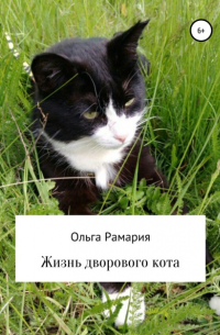 Жизнь дворового кота