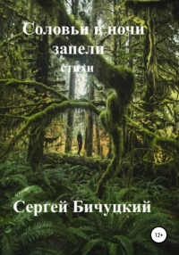 Сергей Бичуцкий - Соловьи в ночи запели