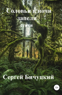 Сергей Бичуцкий - Соловьи в ночи запели