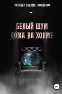 Вадим Александрович Троицкий - Белый шум дома на холме