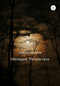 Андрей Николаевич Соколов - Неспящие. Начало пути