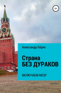 Александр Бёрнс - Страна без дураков: включаем мозг