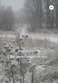 Андрей Николаевич Соколов - Неспящие. Беспокойная зима