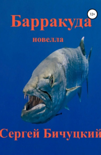 Барракуда