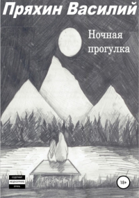 Василий Васильевич Пряхин - Ночная прогулка