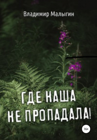 Владимир Малыгин - Где наша не пропадала