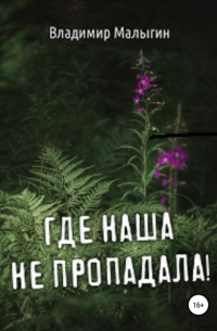 Владимир Малыгин - Где наша не пропадала