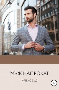 Муж напрокат