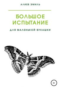 Эмиль Алиев - Большое испытание для маленькой букашки