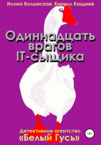 Илона Волынская, Кирилл Кащеев  - Одиннадцать врагов IT-сыщика