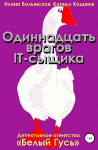 Одиннадцать врагов IT-сыщика